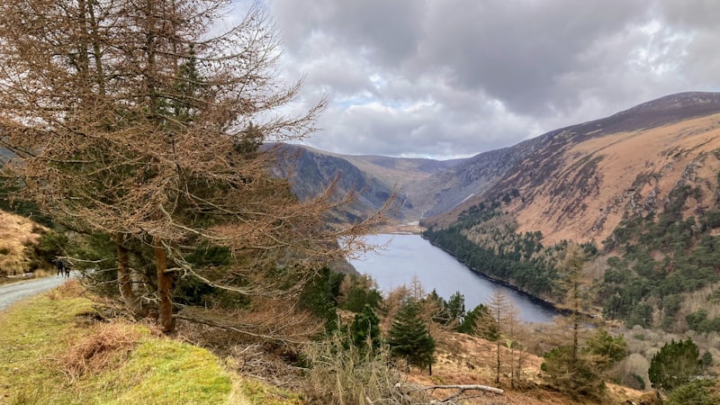 The two lakes of Glendalough at dawn