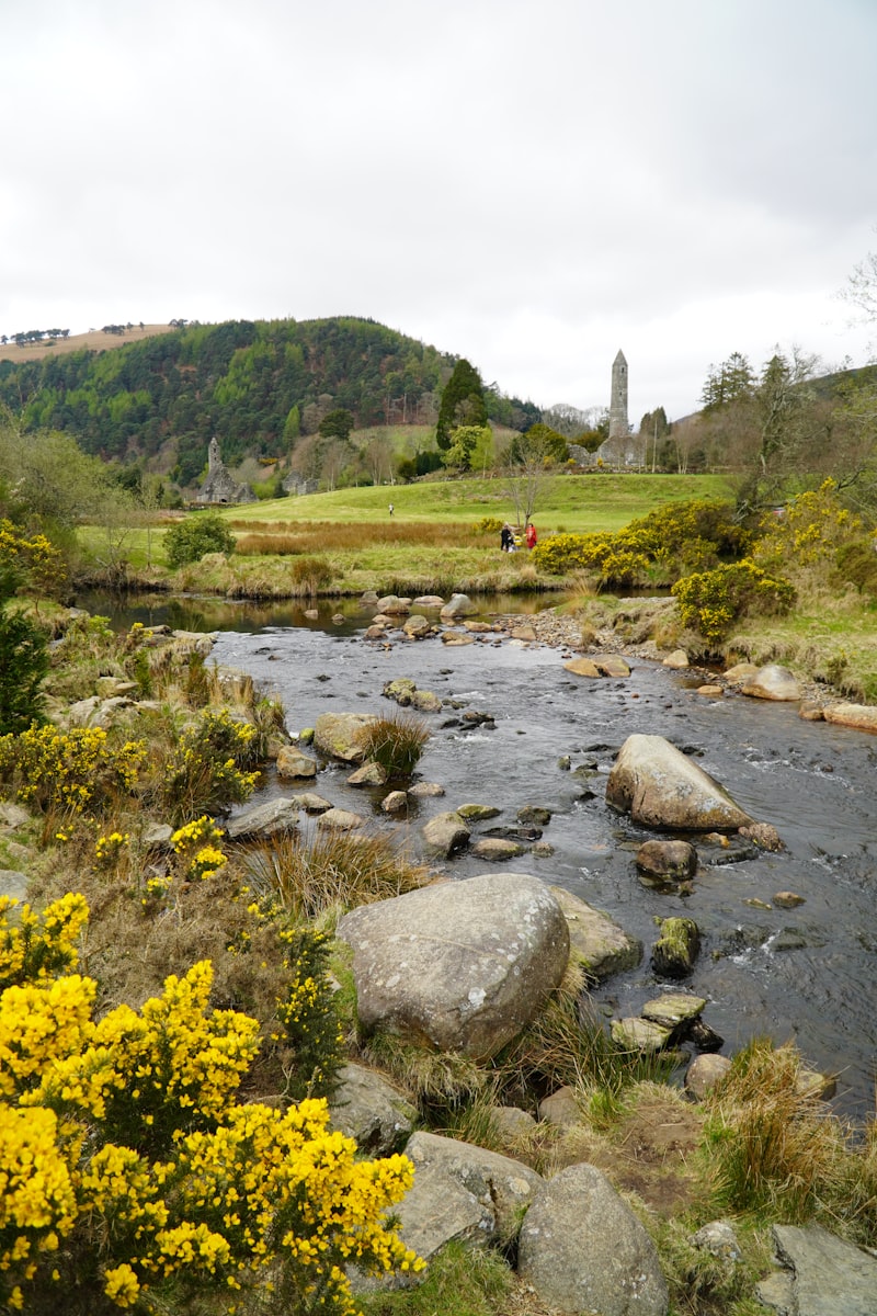 Misty forest and river in the Glendalough valley